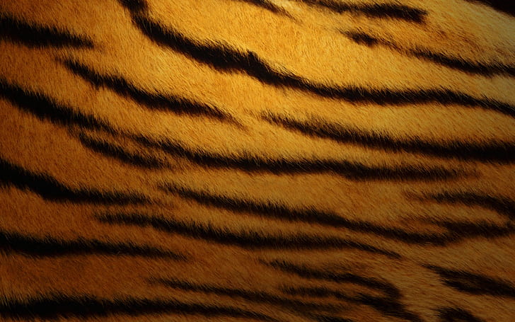 Tiger Skin, brown and black tiger print textile, tiger, skin, HD wallpaper