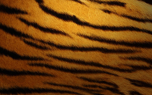 Piel de tigre, textil estampado de tigre marrón y negro, tigre, piel, Fondo de pantalla HD HD wallpaper