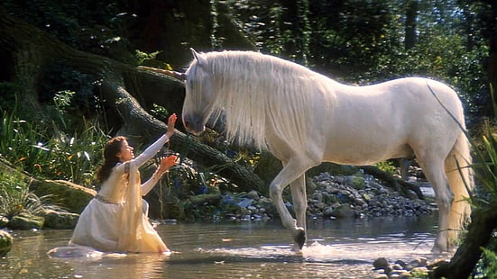 ユニコーンの伝説、白い馬の少女と馬のユニコーンHdデスクトップの壁紙、 HDデスクトップの壁紙 HD wallpaper