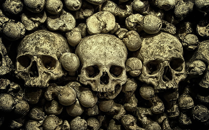 skull, bones, HD wallpaper