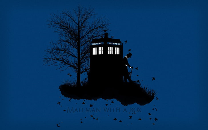 Gila Manusia Dengan Kotak digital wallpaper, Doctor Who, The Doctor, TARDIS, latar belakang sederhana, Matt Smith, Wallpaper HD