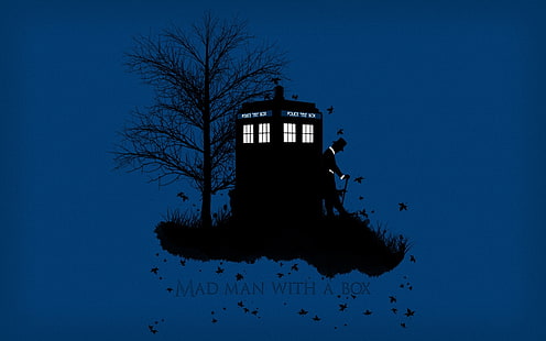 Gila Manusia Dengan Kotak digital wallpaper, Doctor Who, The Doctor, TARDIS, latar belakang sederhana, Matt Smith, Wallpaper HD HD wallpaper