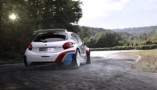 auto, sport, rennen, Peugeot, 208, Peugeot 208 T16, HD-Hintergrundbild HD wallpaper