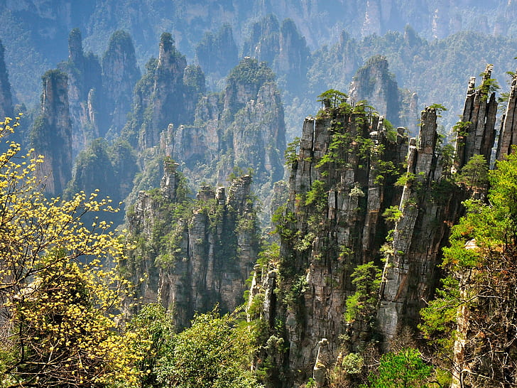 張家界美しい自然の風景、岩山の崖、中国、張家界、美しい、自然、風景、岩、山、崖、中国、 HDデスクトップの壁紙