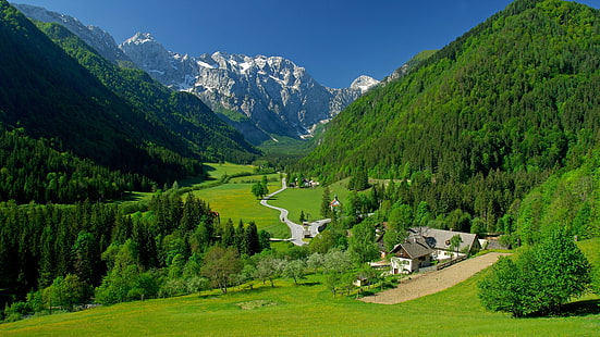 valley, Alps, hills, landscape, trees, mountains, hairpin turns, village, Slovenia, HD wallpaper HD wallpaper