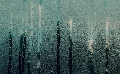 Janela húmida, vidro úmido, estações, outono, janela, úmida, HD papel de parede HD wallpaper