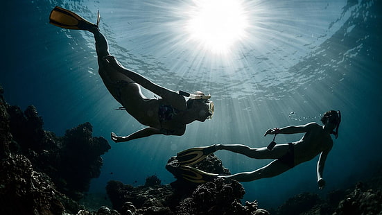 divers, snorkling, diving, sea, underwater, ocean, coral, swimming, HD wallpaper HD wallpaper