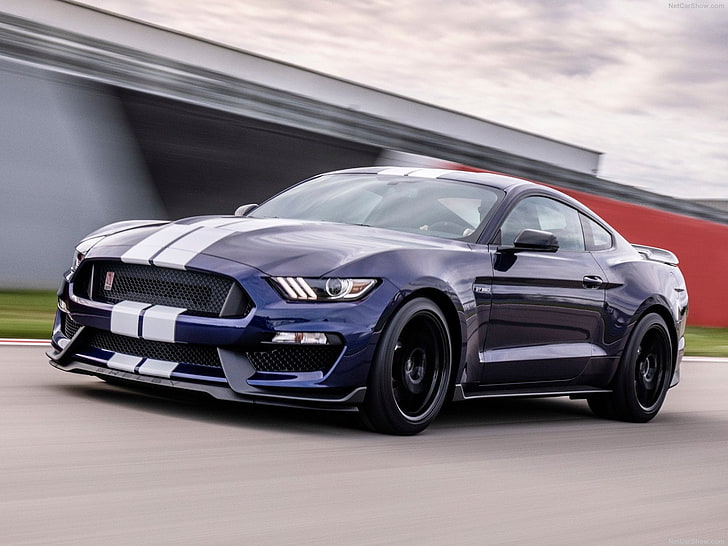 Ford Mustang Shelby GT350, coche, Ford-Mustang Shelby GT350, Fondo de pantalla HD