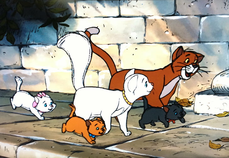 animation, aristocats, cartoon, cat, cats, disney, family, kitten, HD wallpaper