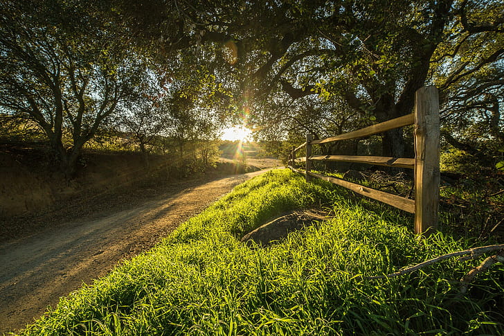 Rancho Santa Rosa, USA, Kalifornien, Rancho Santa Rosa, Bäume, Straße, Zaun, Sonnenstrahlen, HD-Hintergrundbild