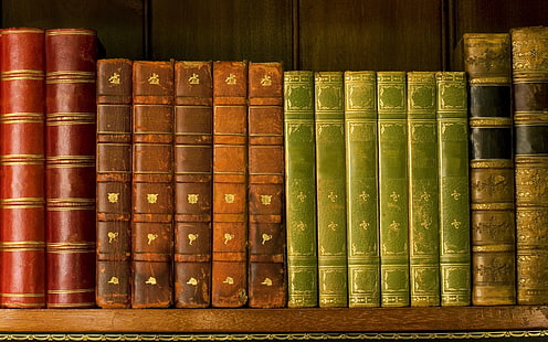 assorted-color book lot, shelf, library, roots, books, HD wallpaper HD wallpaper