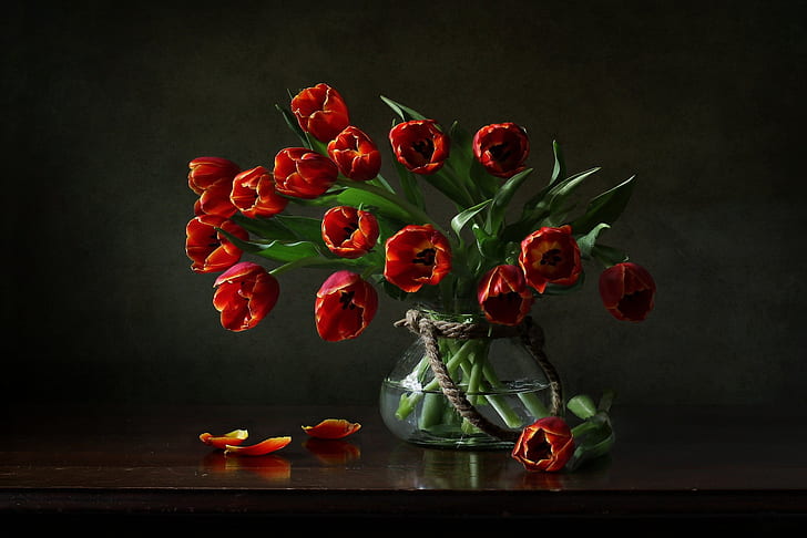 bunga, tulip, vas, Wallpaper HD