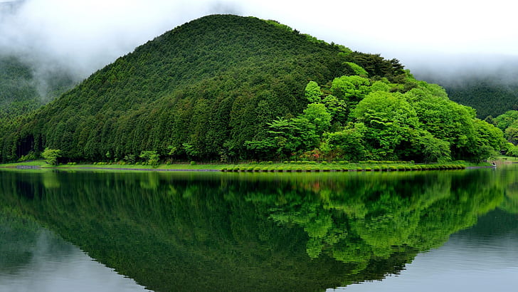 Езеро, пейзаж, зелено, дървета, мъгла, природа, фотография, зелена планина до водно тяло, езеро, пейзаж, зелено, дървета, мъгла, природа, HD тапет