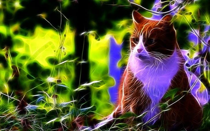 Abstract Fractal High Resolution Images, cats, abstract, fractal, high, images, resolution, HD wallpaper