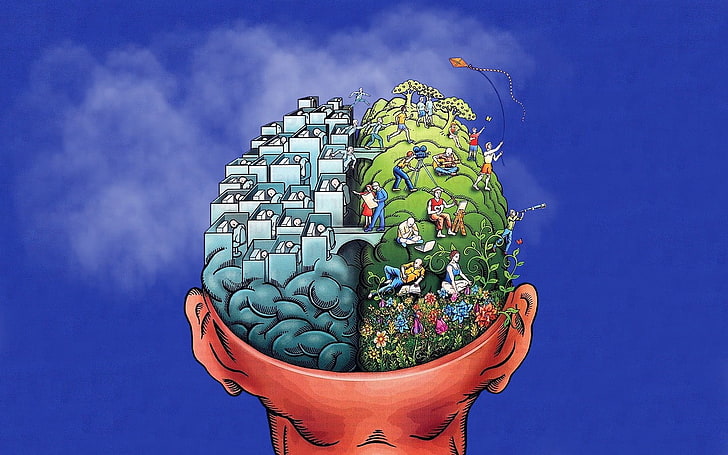 cervello multicolore la realtà dell'illustrazione del mondo, cervello, Sfondo HD