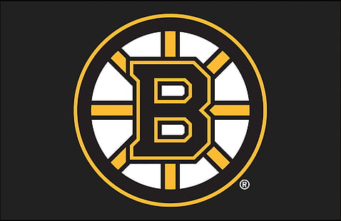 Hockey, Boston Bruins, Fondo de pantalla HD HD wallpaper