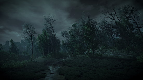 The Witcher 3: Wild Hunt, jogos de vídeo, HD papel de parede HD wallpaper