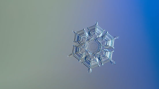 clear snow flake, Ice, relief, snowflake, desktop, clear, snow flake, widescreen, ultra  hd, 1080p, 720p, 4k, high  definition, resolution, snow  crystal, crystal  symmetry, outdoor, winter, cold, frost, natural, macro, transparent, hexagon, magnified, closeup, details, shape, christmas  season, снежинка, fine, elegant, ornate, beauty, beautiful, north, decor, isolated, unique, decorated, blue  light, lighting, bright, fragile, fragility, structure, backgrounds, abstract, decoration, blue, HD wallpaper HD wallpaper