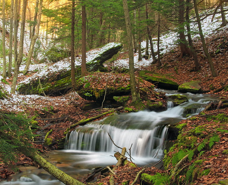 time lapse photo of river on woods at daytime, Watercourse, time lapse, photo, river, woods, daytime, Pennsylvania, Lycoming County, Tiadaghton State Forest, Golden Eagle Trail, Run  Wolf Run, Run Wild, Area, Wilds, hiking, creek, stream, cascades  waterfall, ravine, rocks, snow, leaf litter, trees, forest, eastern hemlocks, ferns, winter, creative commons, nature, waterfall, tree, leaf, scenics, water, landscape, outdoors, beauty In Nature, freshness, rock - Object, tropical Rainforest, green Color, moss, HD wallpaper