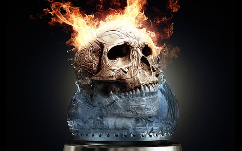 skull with fire wallpaper, fire, skull, digital art, artwork, fantasy art, simple background, HD wallpaper HD wallpaper