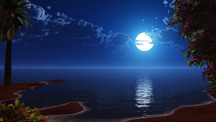 fantasy landscape, beach, night sky, seascape, landscape, ocean, night, reflection, tropics, calm, nature, fantasy art, horizon, moon, moonlight, water, sea, full moon, sky, HD wallpaper