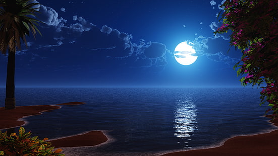 paisaje de fantasía, playa, cielo nocturno, paisaje marino, paisaje, océano, noche, reflexión, trópicos, calma, naturaleza, arte de fantasía, horizonte, luna, luz de la luna, agua, mar, luna llena, cielo, Fondo de pantalla HD HD wallpaper
