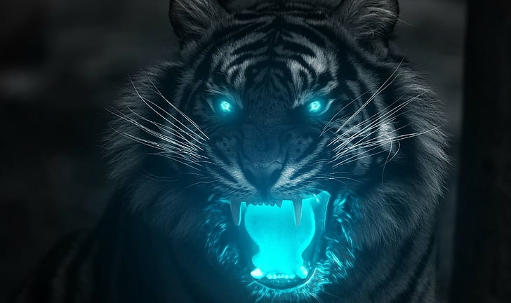 Tiger illustration, animals, tiger, HD wallpaper | Wallpaperbetter