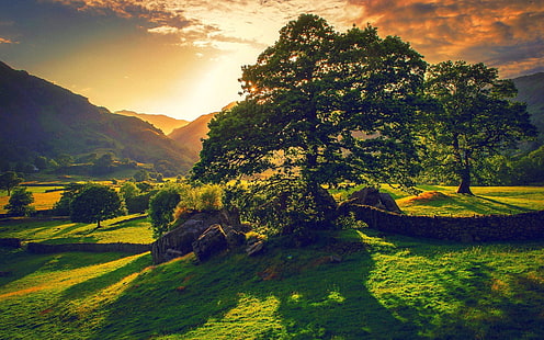 amanecer, arboles, naturaleza, paisaje, Sfondo HD HD wallpaper