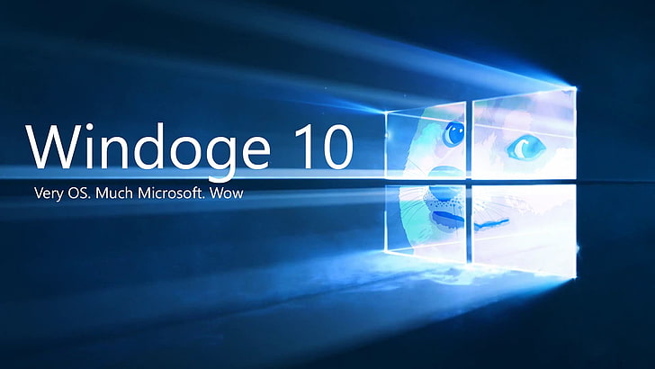 Nakładka tekstowa Windoge 10, Doge, Shiba Inu, Microsoft Windows, memy, Tapety HD