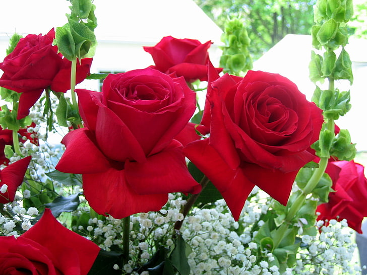 czerwone róże i białe kwiaty oddech dziecka, róże, kwiaty, bukiet, zbliżenie, Tapety HD