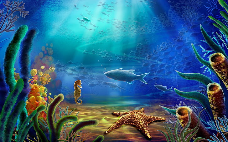 Peces y caballitos de mar y estrellas de mar, agua, bajo el agua, mundo, plantas, fondo, Fondo de pantalla HD