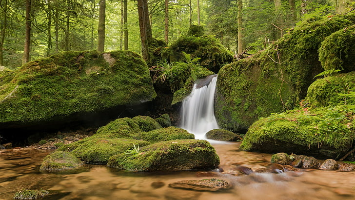 ธรรมชาติ, น้ำ, น้ำตก Gertelbach, เยอรมนี, เนื้อน้ำ, น้ำตก, กระแส, ป่าดำ, ความเป็นป่า, ป่าดำ, ห้วย, ป่า, ตะไคร่น้ำ, วอลล์เปเปอร์ HD