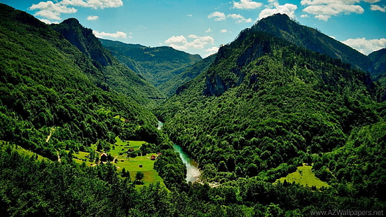 bosque, montes, naturaleza, paisaje, rio, HD тапет HD wallpaper