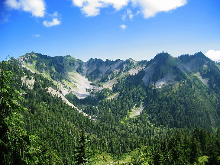 photo of mountain alps during daytime, olympic national park, olympic national park, Olympic National Park, photo, mountain, alps, daytime, sky, trees, Park  Washington, nature, forest, landscape, tree, scenics, summer, outdoors, green Color, mountain Peak, HD wallpaper