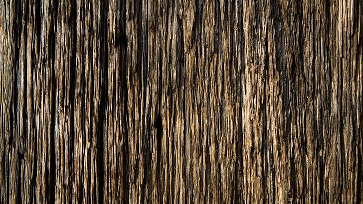 superficie rugosa marrón, corteza, madera, fondo, textura, Fondo de pantalla HD
