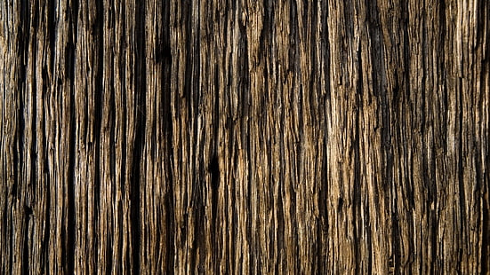 surface rugueuse brune, écorce, bois, fond, texture, Fond d'écran HD HD wallpaper