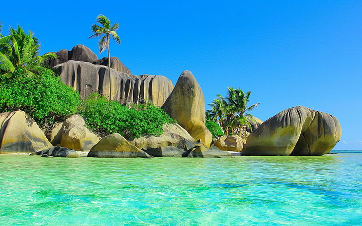 acantilado de roca gris, playa, arena, palmeras, piedras, naturaleza, paisaje, mar, tropical, Fondo de pantalla HD
