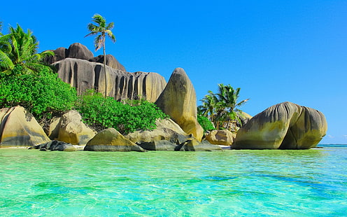scogliera di roccia grigia, spiaggia, sabbia, palme, pietre, natura, paesaggio, mare, tropicale, Sfondo HD HD wallpaper