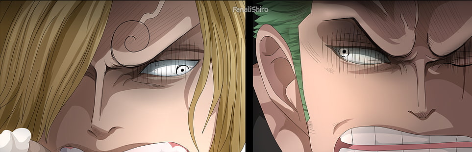 One Piece, Roronoa Zoro, Sanji (One Piece), HD тапет HD wallpaper