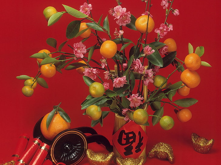 orange fruits, tangerines, vase, figurines, table, china, HD wallpaper