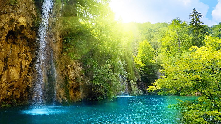 nature trees forest waterfalls 1366x768  Nature Forests HD Art , nature, Trees, HD wallpaper