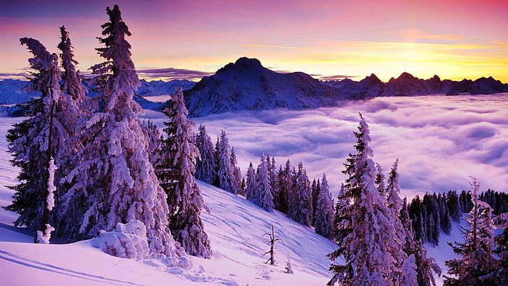 invierno, nieve, amanecer, pico, ladera, montaña, paisaje, bosque, pinos, nevado, nube, ladera de la montaña, cordillera, hermosa, pino, árbol, Fondo de pantalla HD