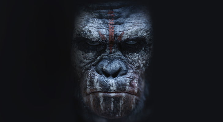 Dawn of the Planet of the Apes Koba, Dawn of the Planet Apes wallpaper, Movies, Other Movies, Movie, planet of the apes, 2014, Bonobo, HD wallpaper