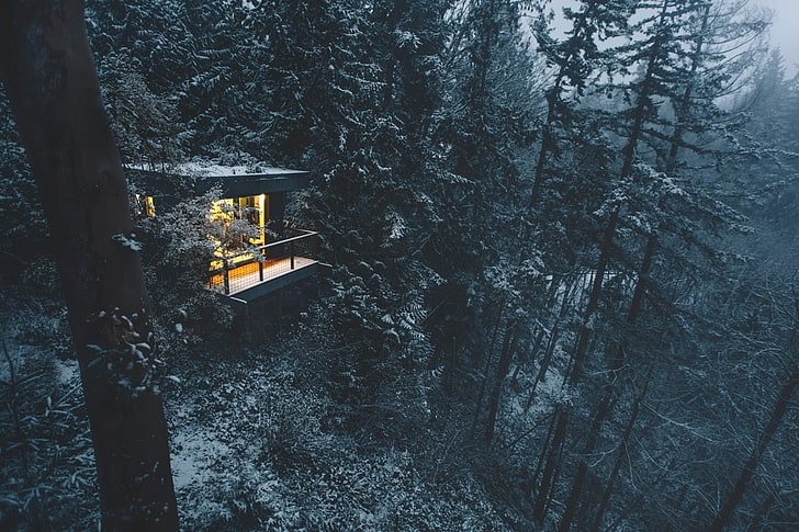 gray cabin, photography, nature, landscape, winter, forest, cabin, snow, trees, cold, Nova Scotia, Canada, HD wallpaper