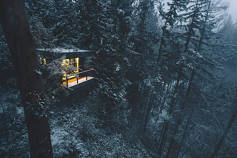 gray cabin, photography, nature, landscape, winter, forest, cabin, snow, trees, cold, Nova Scotia, Canada, HD wallpaper HD wallpaper