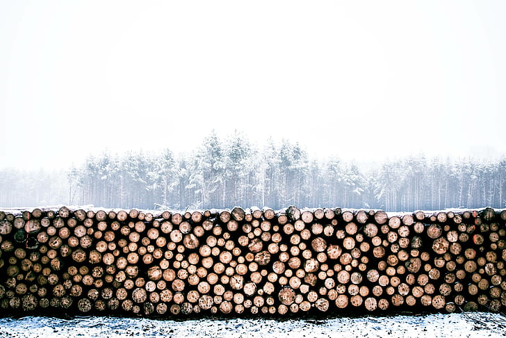 hiver, bois, bois d'oeuvre, tas de bois, bois, bûche, tronc, Fond d'écran HD