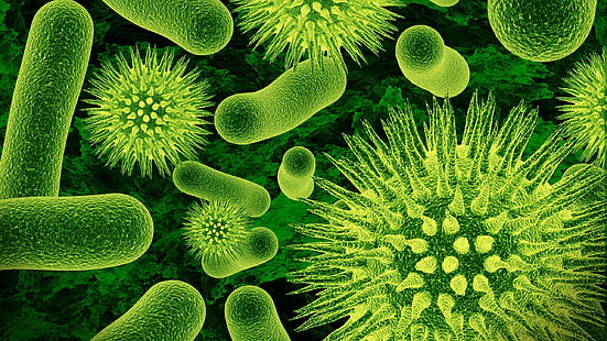 natur närbild mikroskopiska virus bakterier vetenskap grön biologi, HD tapet HD wallpaper