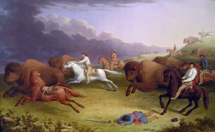 Buffalo Hunt, horses, buffalo, hunt, angry, scared, animals, HD wallpaper