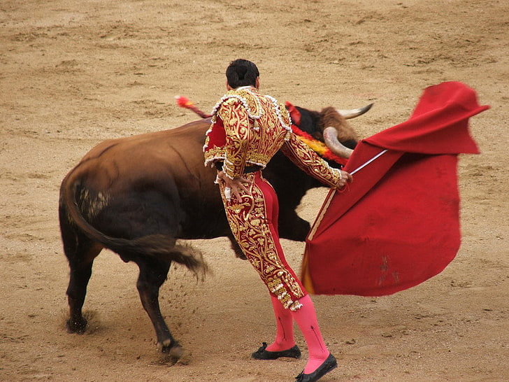 Styles of Bullfighting, brown bull and matador, Sports, Bull Fighting, bull, fighting, HD tapet