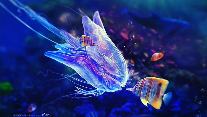 Adam Spizak, gelembung, seni digital, Seni fantasi, ikan, laut, bawah air, Wallpaper HD